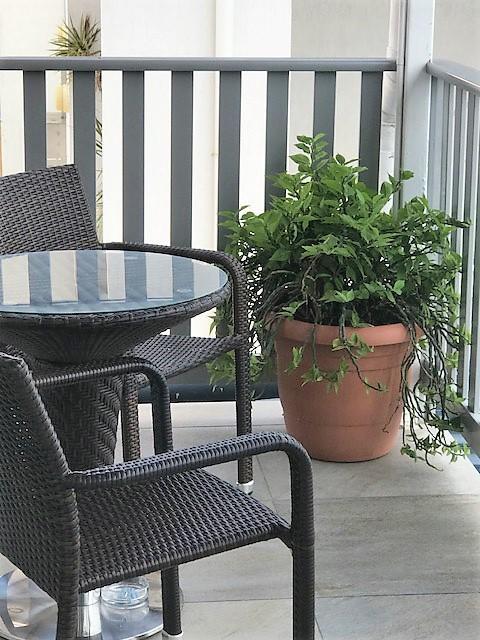 الشقق الفندقية شاطئ إيرليفي  Airlie Court Units المظهر الخارجي الصورة